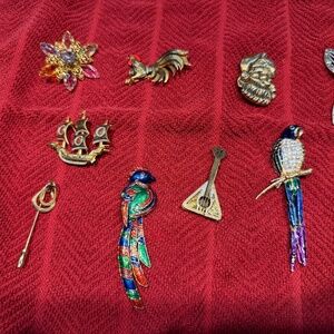 Nice assortment of pins/broaches/cloaches